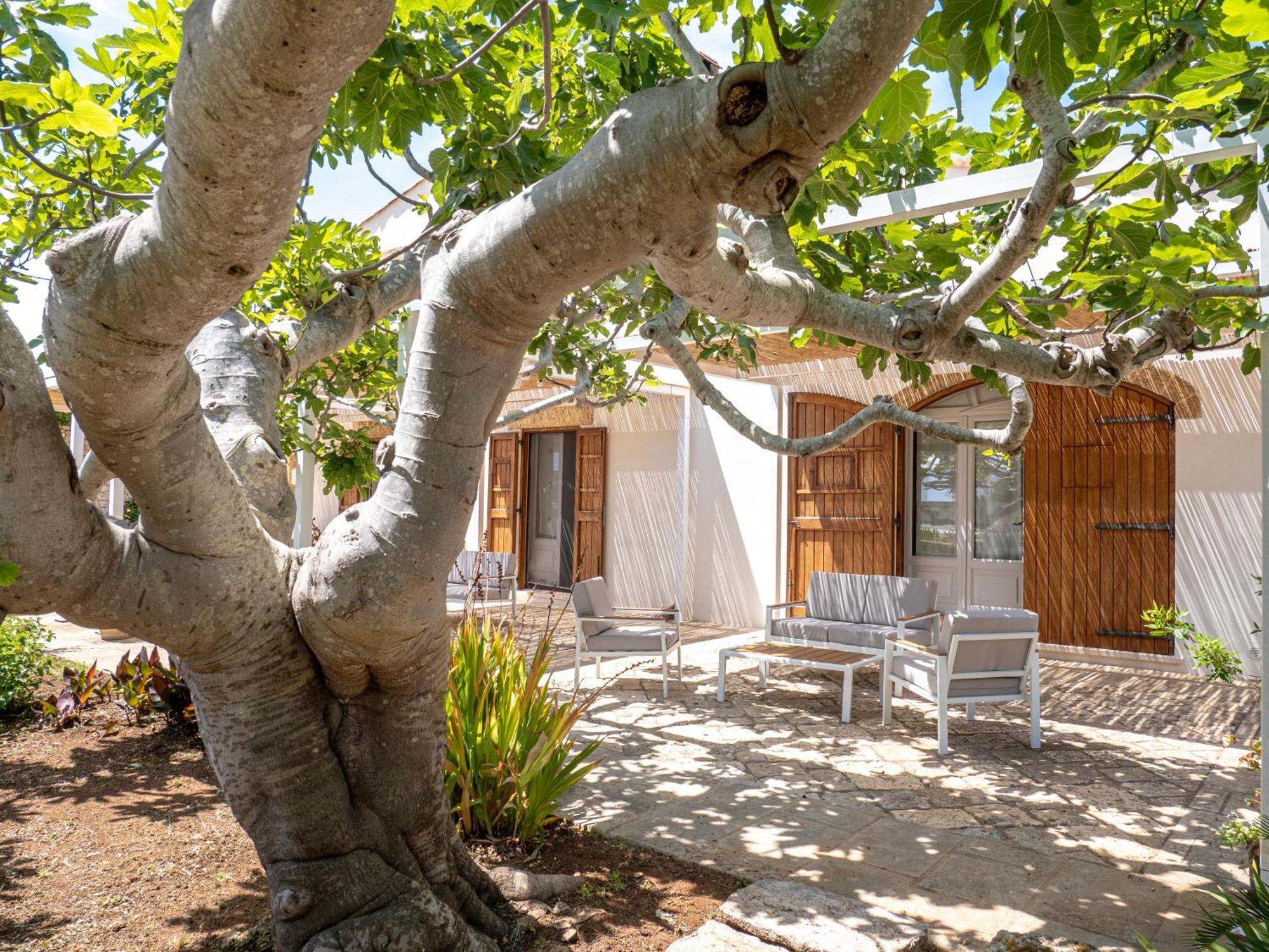 Agriturismo Masseria Alcorico Gagliano del Capo Extérieur photo